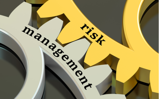 risk management system